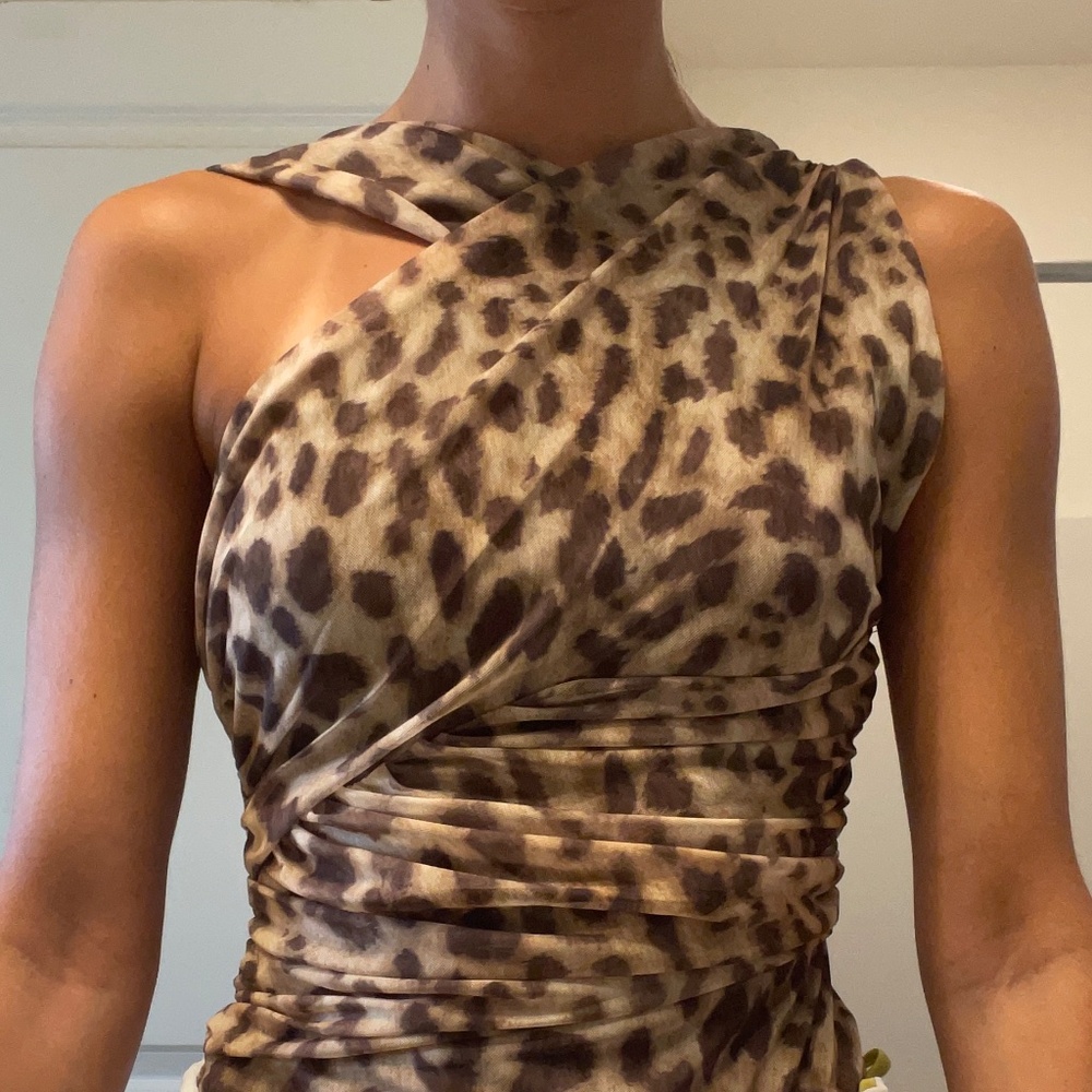 Zara Leopard body